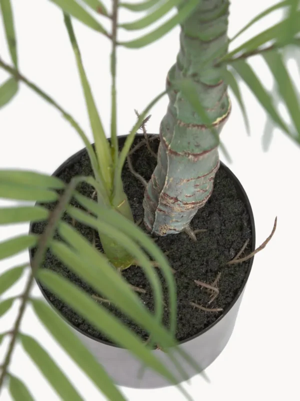 Planta artificial em vaso Palme - Imagem 5